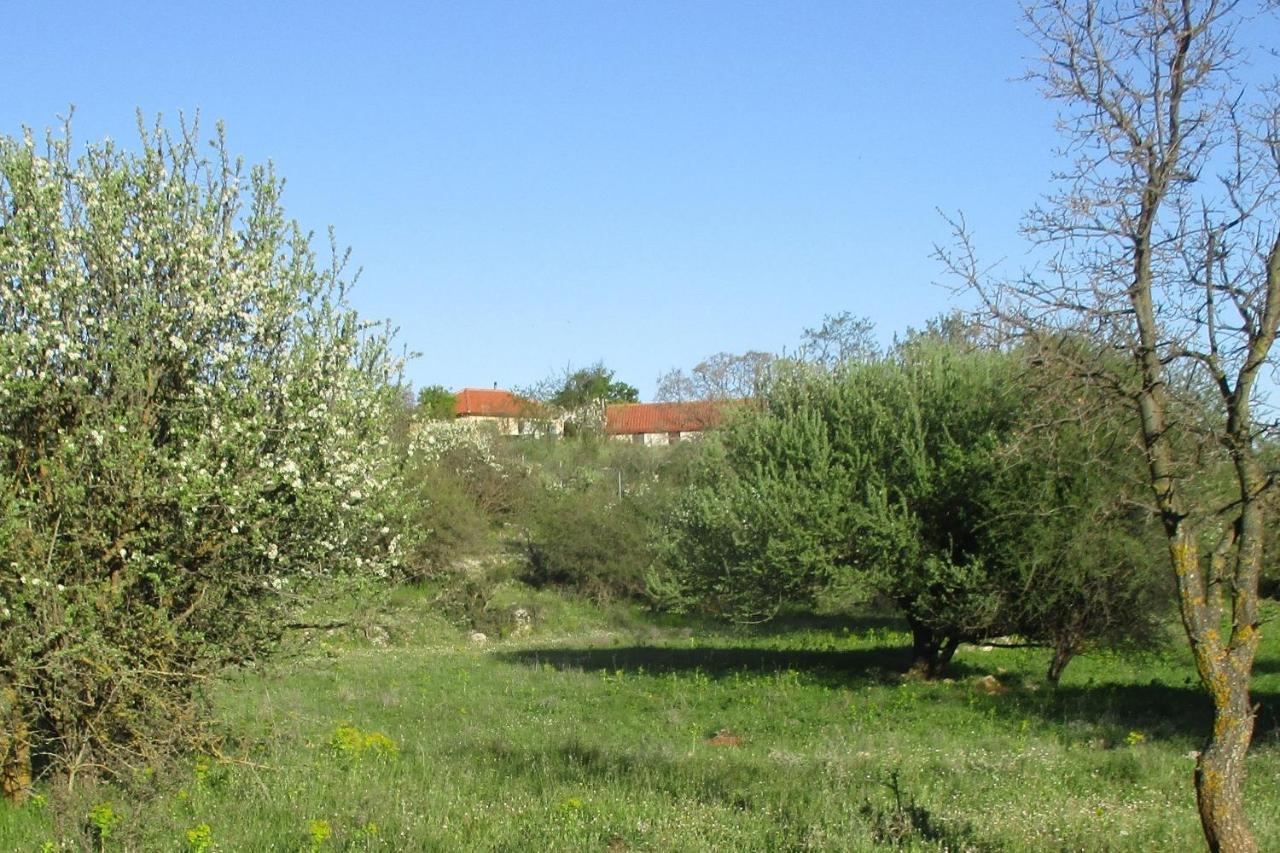 Stone House In A Quiet Landscape, Leonidion Villa Eksteriør bilde