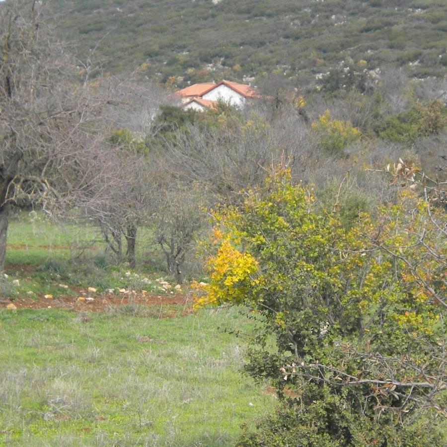 Stone House In A Quiet Landscape, Leonidion Villa Eksteriør bilde